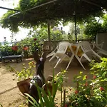 - Insel Rab 16463