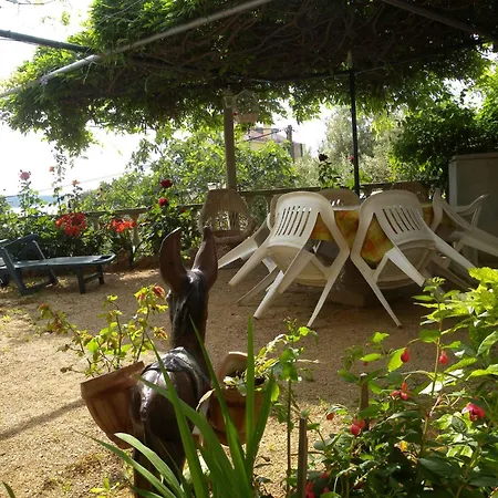 - Insel Rab 16463