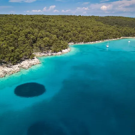 - Insel Rab 16463 Apartament *